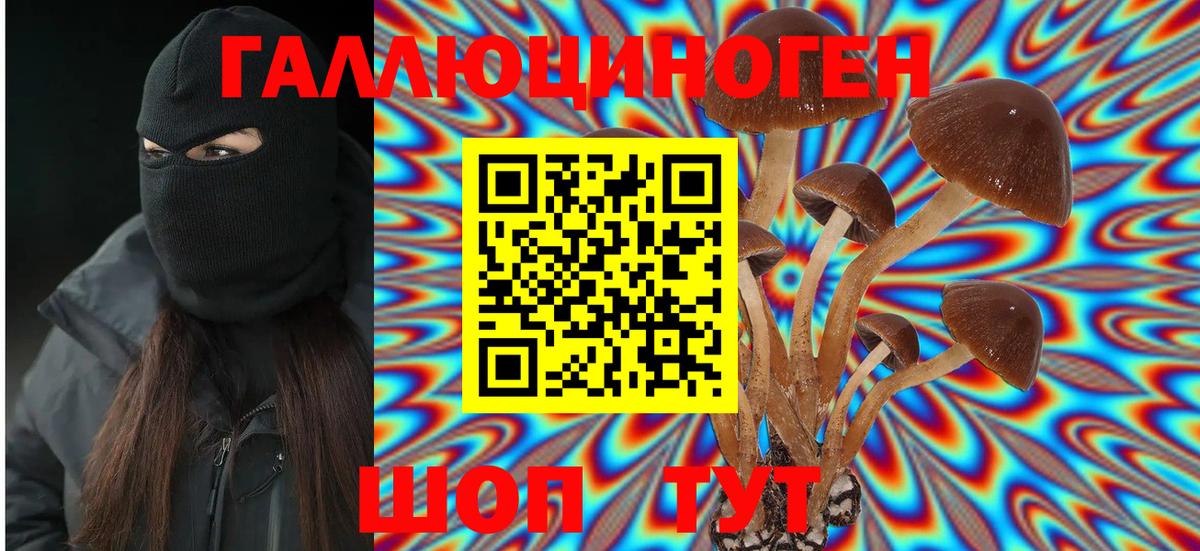 Курск  Галлюциногенные грибы Cubensis  как найти   Псилоцибиновые грибы ЛСД  Вход с VPN 